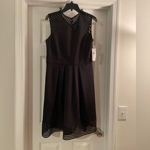 Black Sandra Darren dress, new with tags
